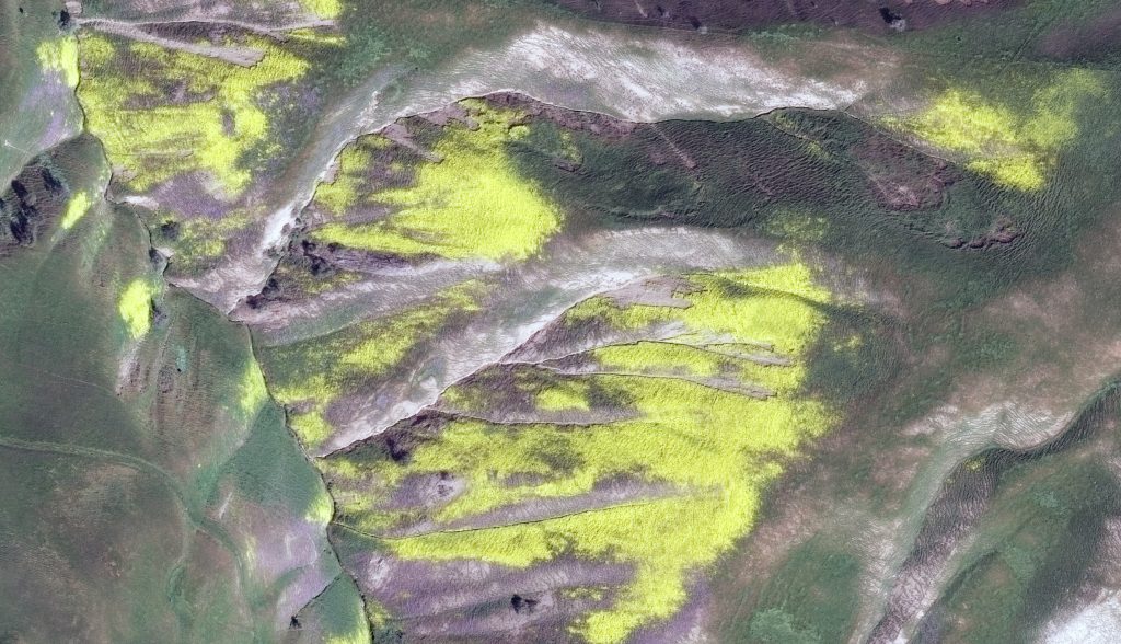 Your Imagery Work Break 2017 - CA Superbloom WV3 4 2 2017 30cmcolor ENHANCE 1024x588 