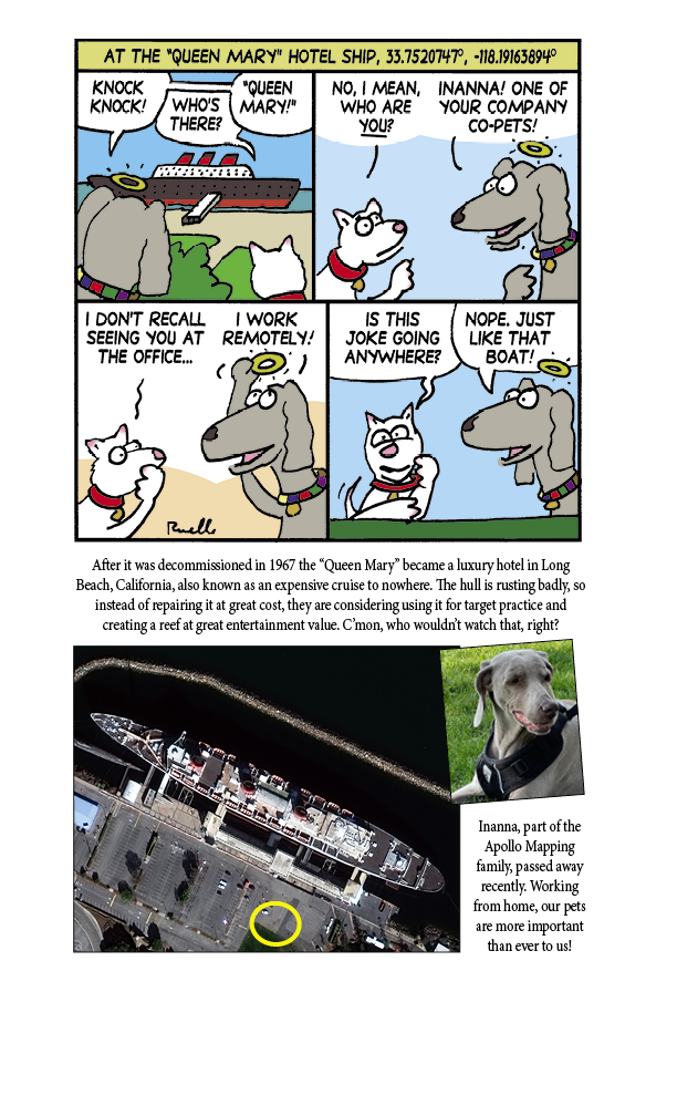 Cricket 39 s Chirp March Apollo - Apollocartoon2203 