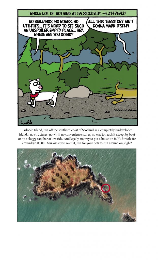 Cricket 39 s Chirp June Apollo - Apollocartoon2306 622x1024 